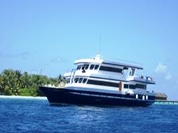 Maldives Stingray Liveaboard